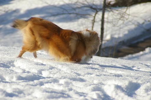 Fotos f. Homepage Galerie 054